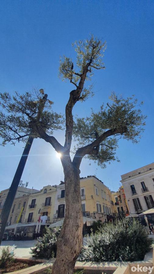 Apartamento Dimora Donna Vittoria - Vecchia *
